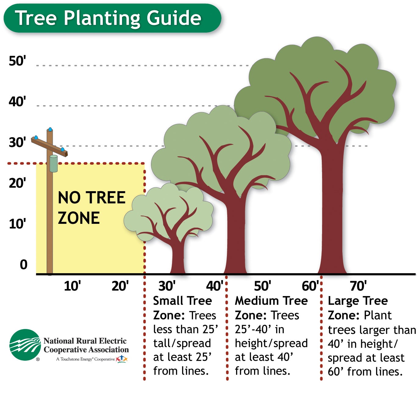 tree zone