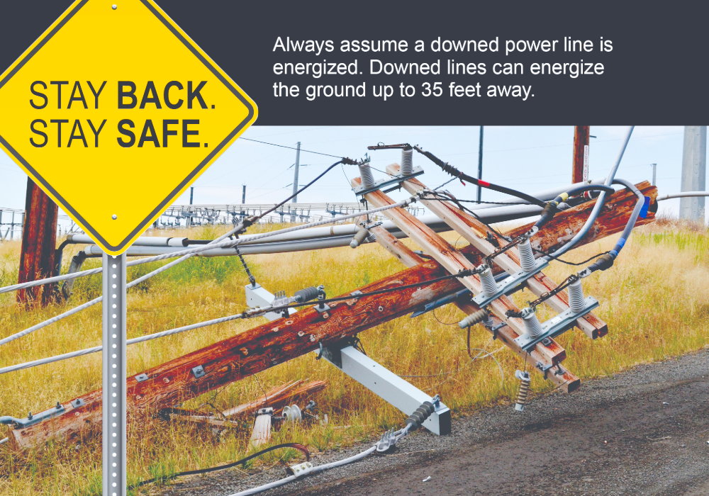Downed Power Lines