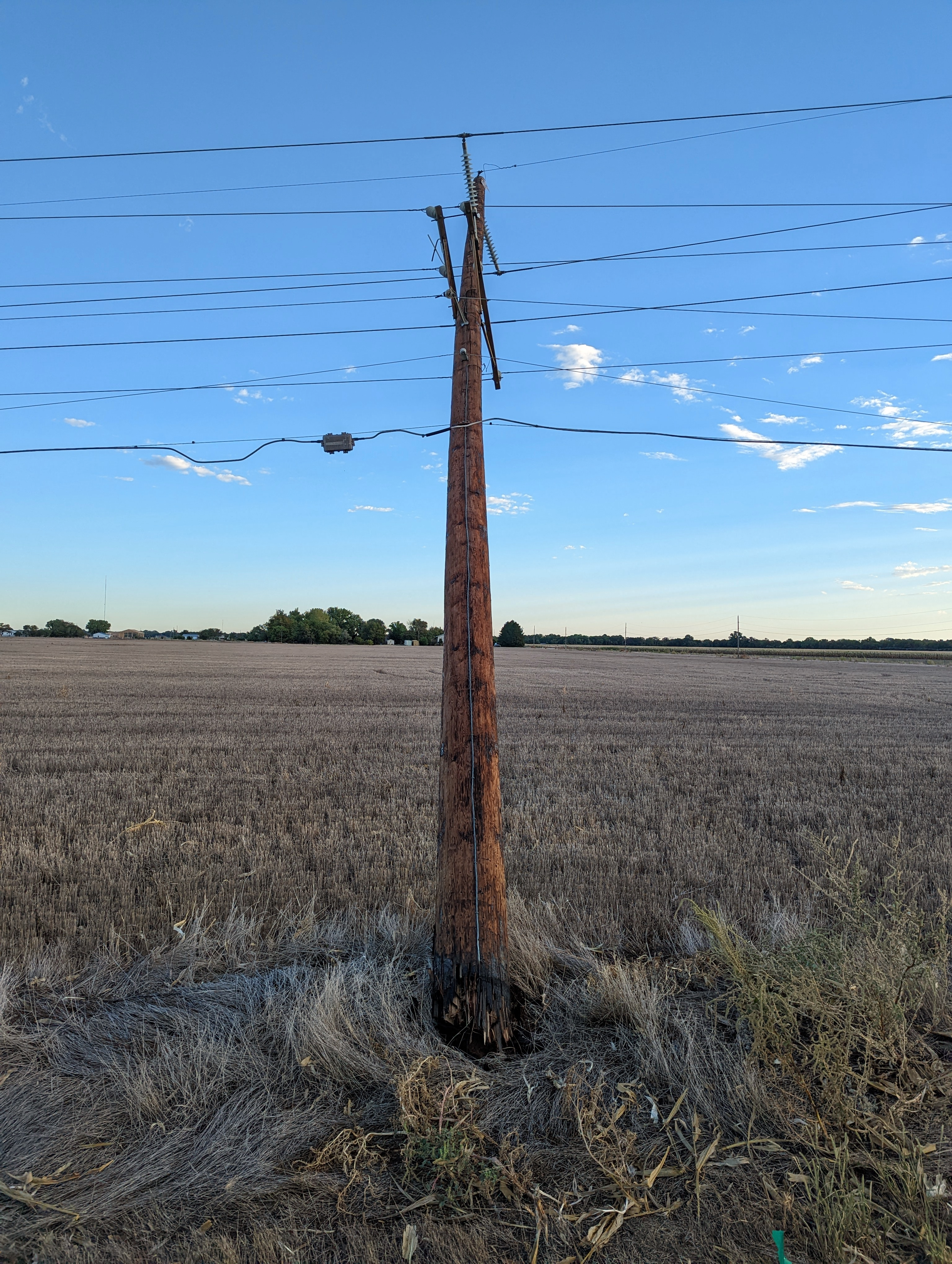 crooked pole 2022