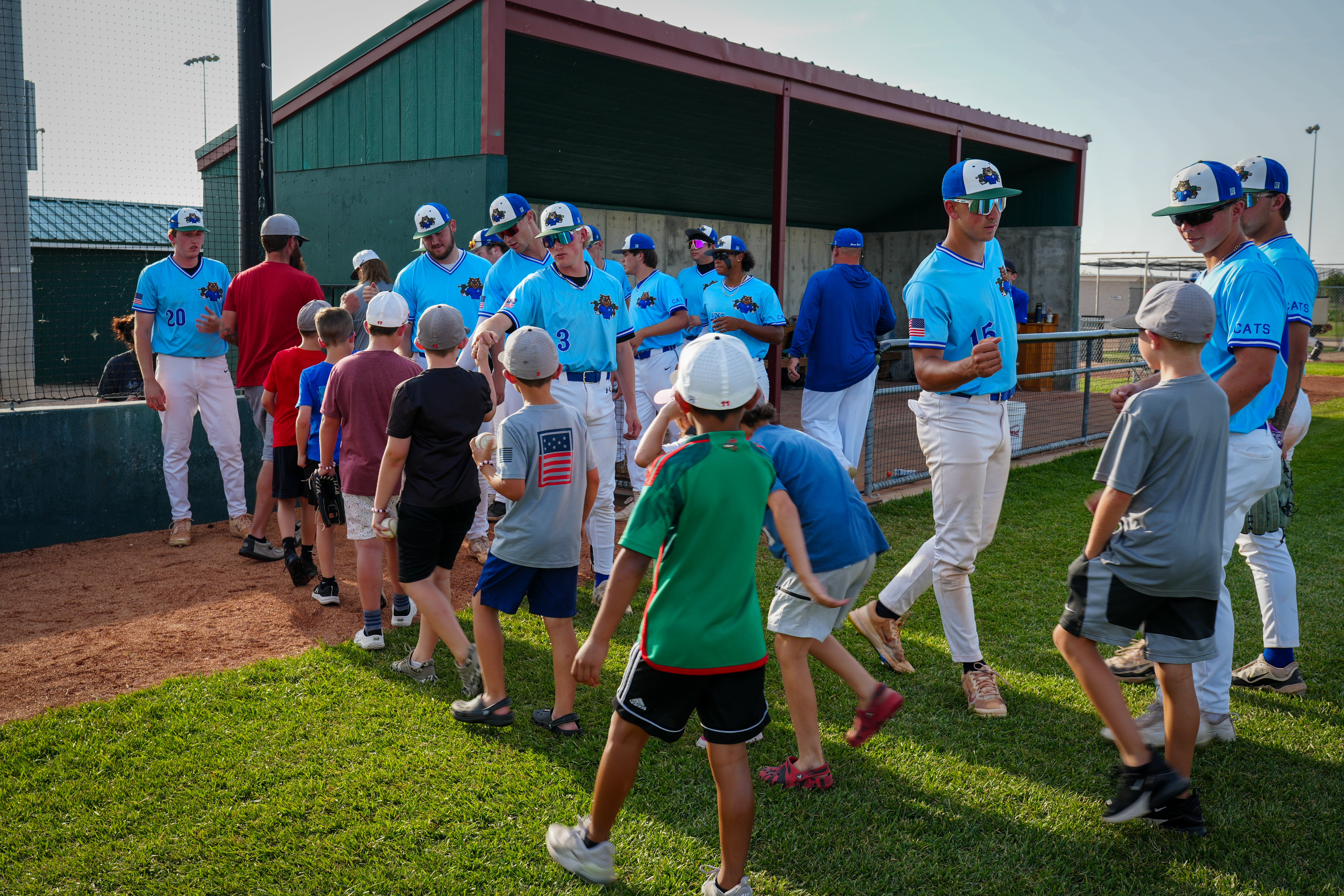 Great Bend Bat Cats 2025