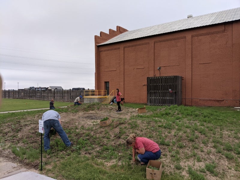 Weeding the Pollinator Garden in Garden City