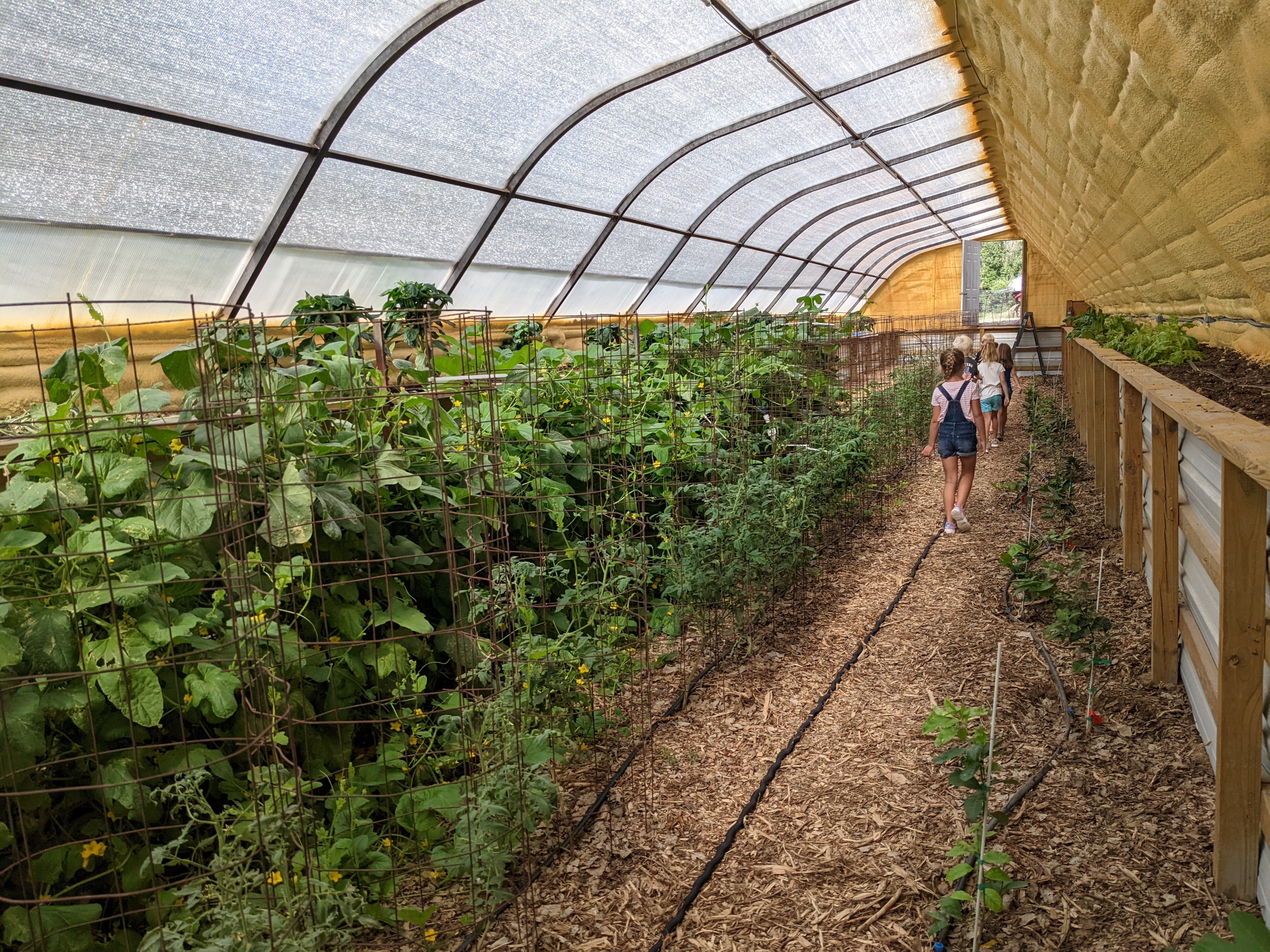 Syracuse Christian Academy greenhouse