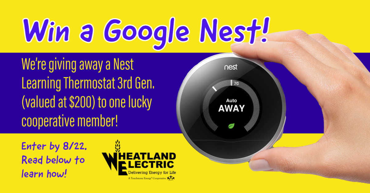 Nest Giveaway 2021