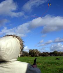 flying_kite-216x251.jpg